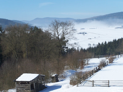 Idyllische Winterlandschaft bei Medebach.