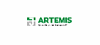 Artemis Kautschuk- und Kunststoff- Technik GmbH