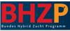BHZP GmbH