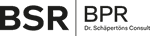 BPR Dr. Schäpertöns Consult GmbH & Co. KG